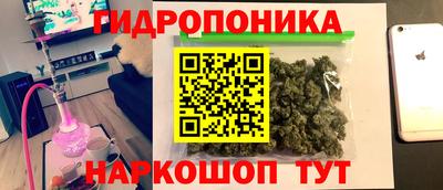 молекула духа Гай