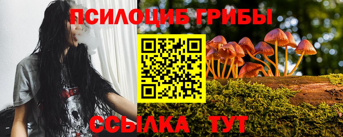 Псилоцибиновые грибы прущие грибы  Галлюциногенные грибы GOLDEN TEACHER  Вход с VPN  Москва 